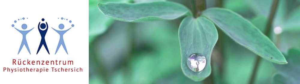 Ergänzende Heilmittel Ergänzende Heilmittel